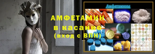 индика Волосово
