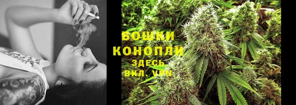 индика Волосово