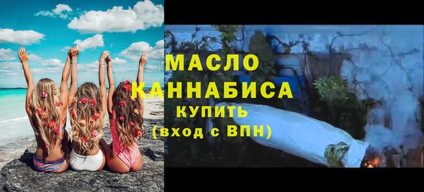 индика Волосово