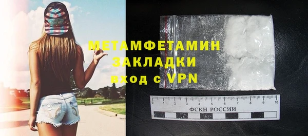 индика Заводоуковск