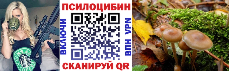 Псилоцибиновые грибы мицелий  гидра tor  Всеволожск 